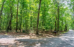 0 BIG H RANCH RD, CULPEPER, VA 22701