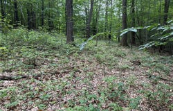 Turnpike Road, Columbus, NY 13460