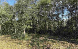 Hwy 95 A, Cantonment, FL 32533