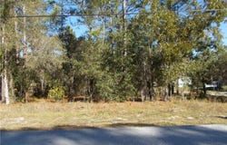 1401 E BISMARK Street, Hernando, FL 34442