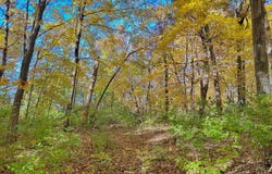 1540 Charmae Lane, Lacon, IL 61540
