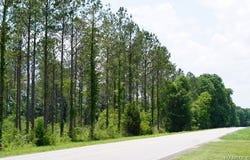 0 Pineapple Highway, Forest Home, AL 36030