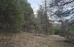 4123 Panther Creek Rd, Sneedville, TN 37869