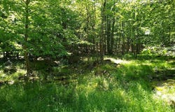 Pine Creek Road, Hawley, PA 18428