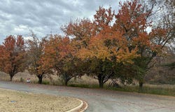 4 SPRING COVE ROAD lot: 4, WARRIOR, AL 35180