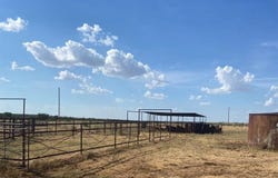 0000 Terrapin, Megargel, TX 76370