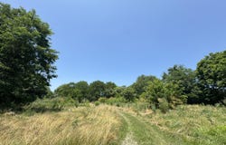 4681 US Highway 62, Mays Lick, KY 41055