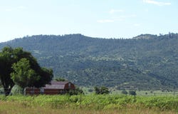 2050 HWY 21, Miami, NM 87729