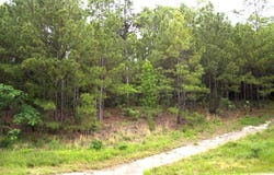 163 HW 27 N, Lockesburg, AR 71846