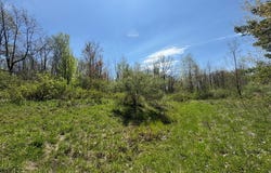 0 Beach Road, Dundee, NY 14837