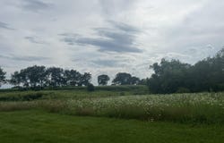 1914 6th Street, Martin, MI 49070