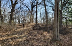 Newbold Road, Cary, IL 60013