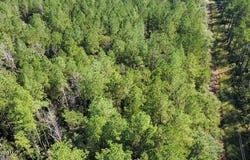 5464a Pecan Orchard Road, Liberty, MS 39645