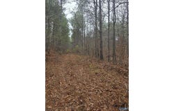 1 Sugarland Lake Resort, Oneonta, AL 35121