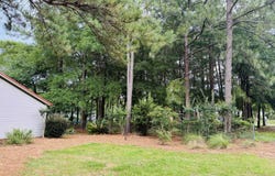 204 Chamblee Road, Walterboro, SC 29488