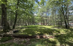 497 Timber Ridge Drive, Hawley, PA 18428