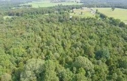 Lot 3  State HWY 352, Hartman, AR 72949