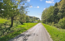 725 S Hill Road, Spencer, NY 14883