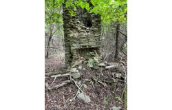 TBD Alton rd, Eagle Springs, NC 27242