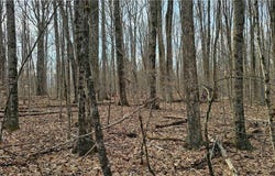 Thayer Road, Erin, NY 14838