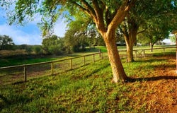 112 Fm 1042, Three Rivers, TX 78071