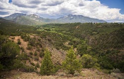000 Deer Mesa, Valdez, NM 87580-0000