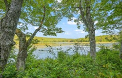 L11.11 Rossman Valley Rd, Richmondville, NY 12149