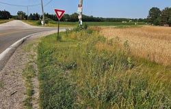Wales Ridge Road, Memphis, MI 48041