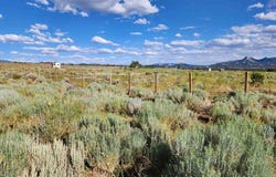TBD Road P, Mancos, CO 81328