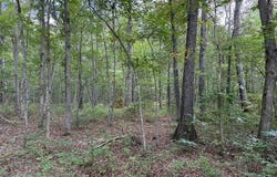 1994 Goforth Rd., Morrison, TN 37110
