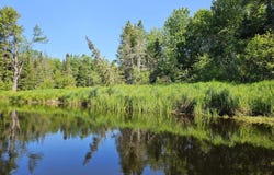Lot 49 Meeting House Road, Columbia, ME 04623
