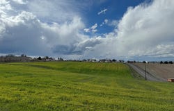 Warner Drive, Lewiston, ID 83501