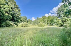 1143 38th Street, Allegan, MI 49010