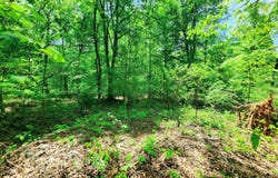 Evergreen Cove, Kingston, TN 37763