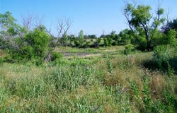 County Street 2700, Cyril, OK 73029