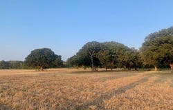 Tbd County Road 4410, Commerce, TX 75428