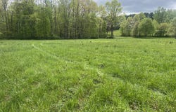 Country Wood Lane, Crawley, WV 24931