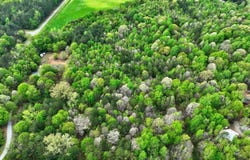 Lot 18 Shady Farms Road, Monticello, GA 31064