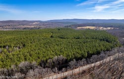 Airport Rd. Lot 8, Rockwood, TN 37854