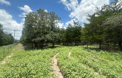 3351 Interstate 10 Frontage Road, Flatonia, TX 78941