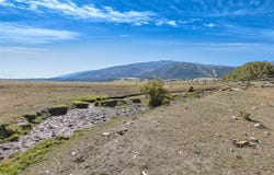 King Pastures, Florence, MT 59833