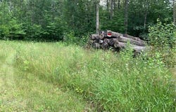 Tbd Mushgee Road, Sand Lake Twp, MN 56636