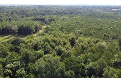 6 Grandview Bluff Rd, Spencer, TN 38585