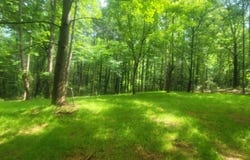 121 Pinedale, Griffin, GA 30224