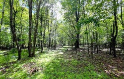 Tbd Floyd Pike, Hillsville, VA 24343