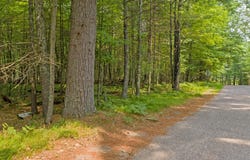 Lot 11 WOODS LN, Minocqua, WI 54548