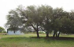 Tract 34 County Road 2800, Lometa, TX 76853