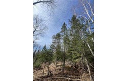 Xxx Yellowsands Drive, Spooner, WI 54801