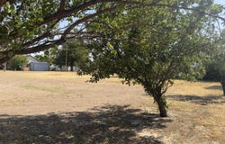 210 NW 2nd, Laverne, OK 73848