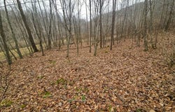 TBD Copen Rd, Copen, WV 26615